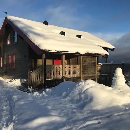 Alpstigen 10B - Newly Built Sports Cottage With Lovely Views Jarvso Exterior photo