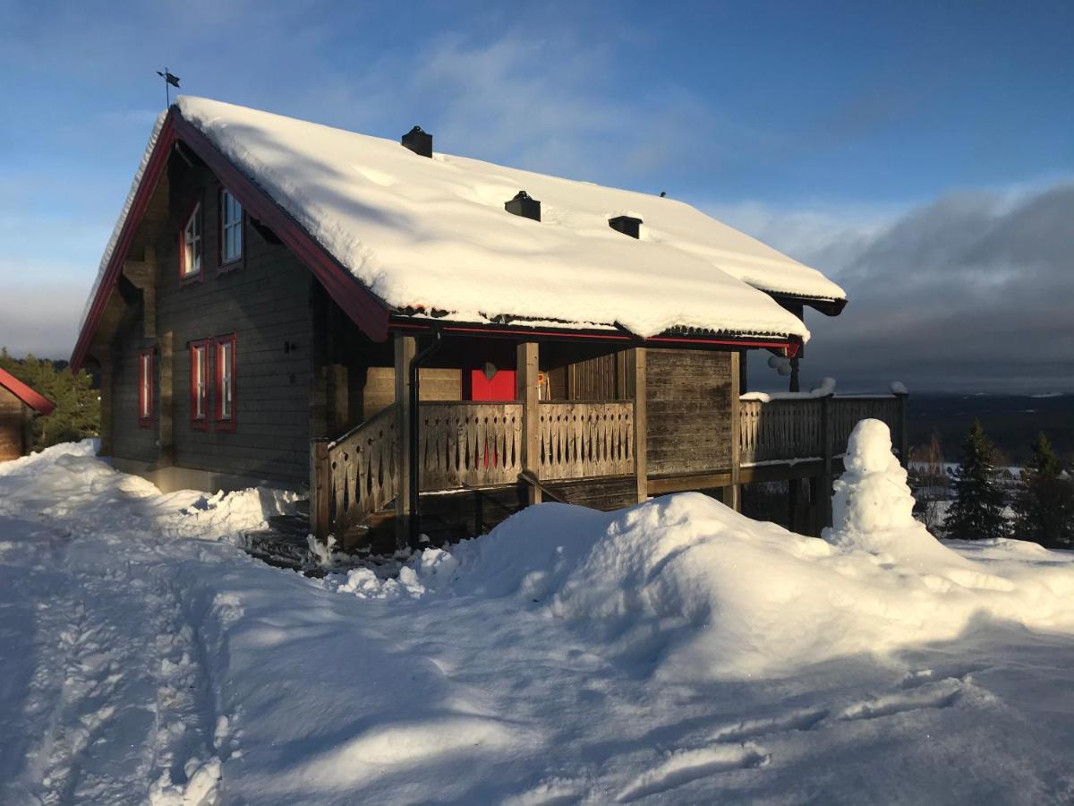 Apartment Alpstigen 10b - Newly Built Sports With Lovely Views *